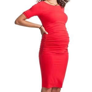 Isabella Oliver maternity dress